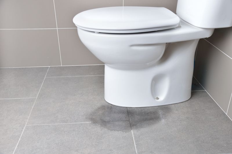 Leaking Toilet Repair in Denver, CO