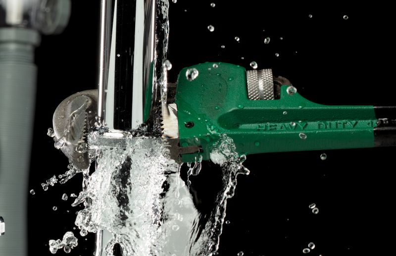 Plumbing Leak Repair in Denver, CO