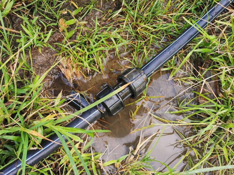 Plumbing Leak Repair in Denver, CO
