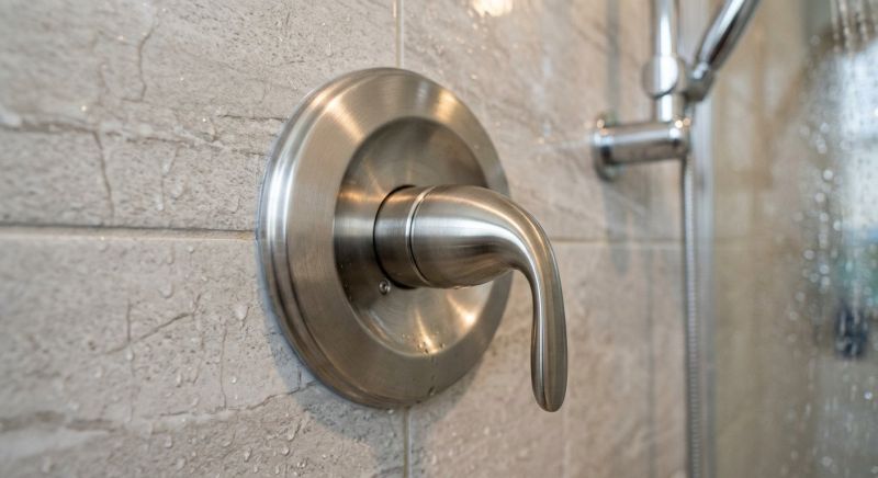 Shower Knob Replacement in Denver, CO
