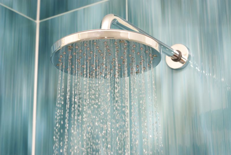 Showerhead Replacement in Denver, CO