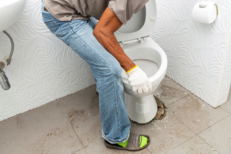 Toilet Installation in Denver, CO
