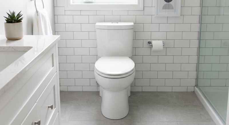 Toilet Repair in Denver, CO