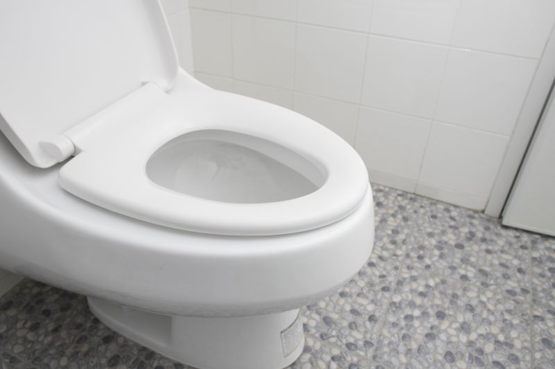 Toilet Replacement in Denver, CO